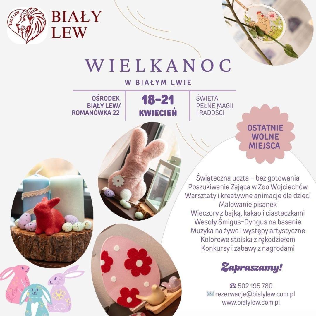 Bed and Breakfast Osrodek Bialy Lew à Wojciechow  Extérieur photo